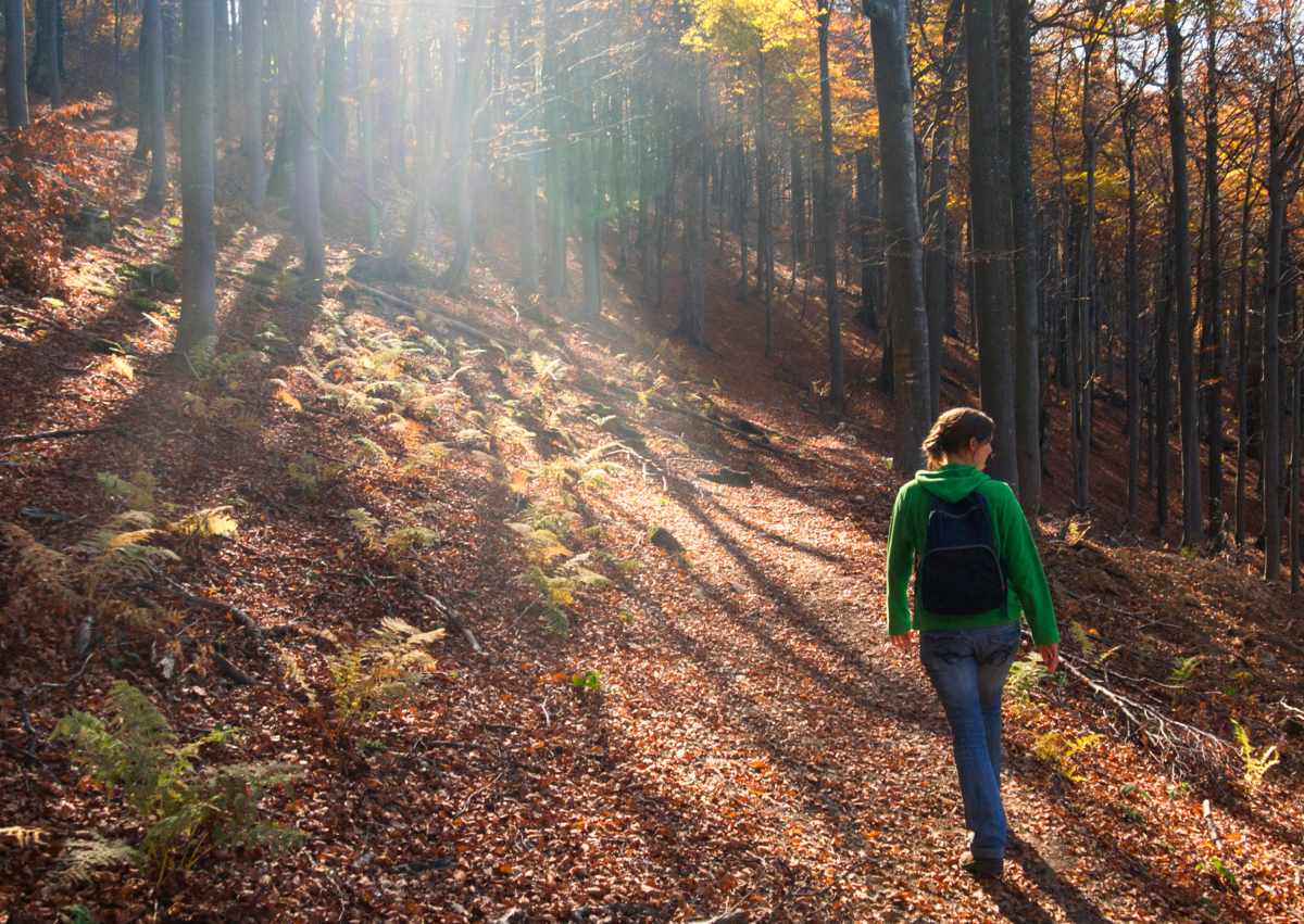 Counselling walks in Leeds